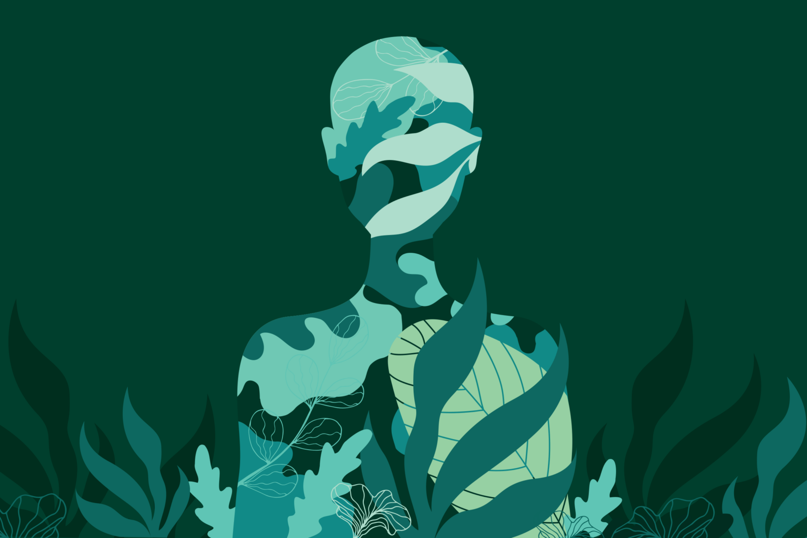 How do humans and nature interact at a border? - Letters & Science