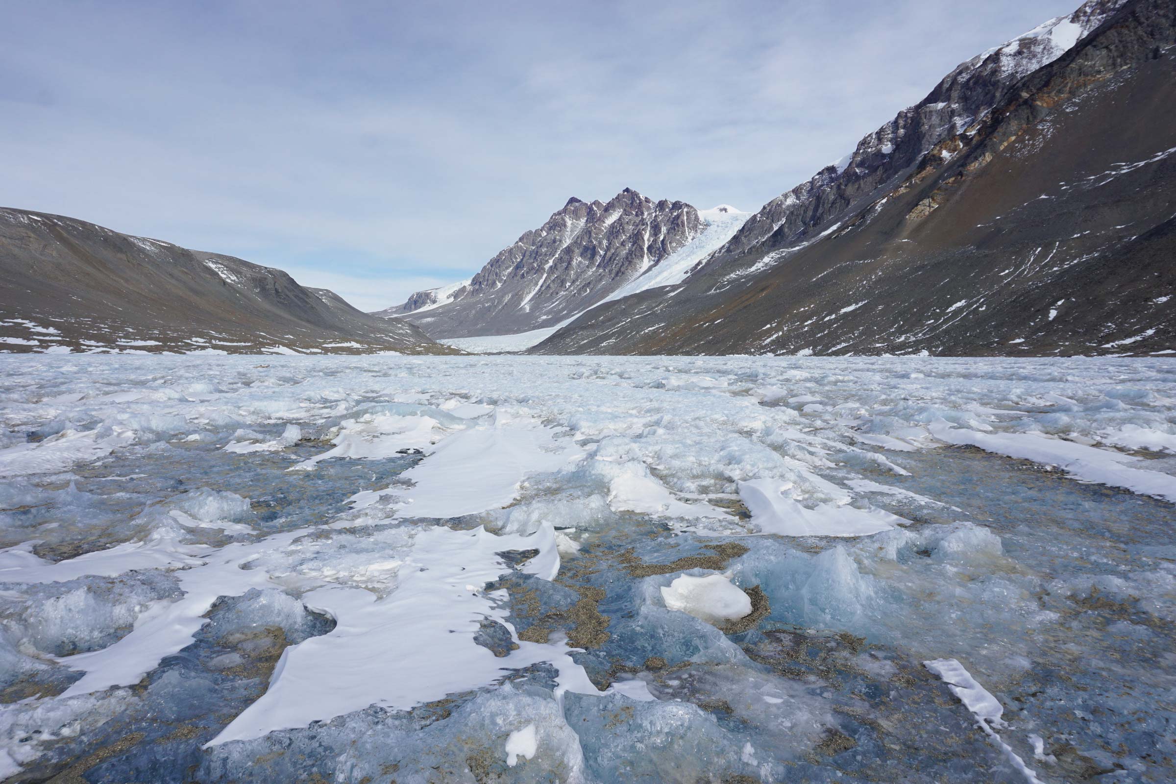 A closeup of Antarctica's icy landscape