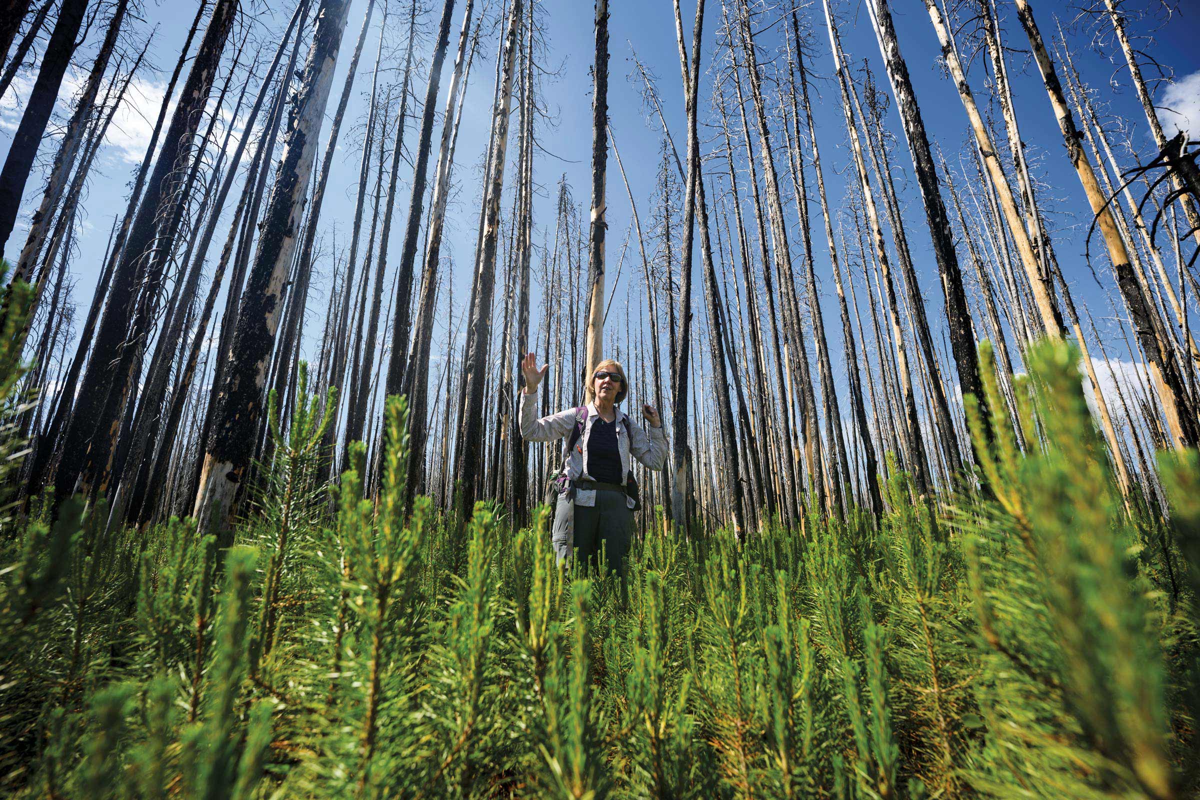Monica Turner standing in a forest