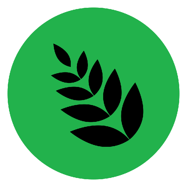 Illustration of a leaf